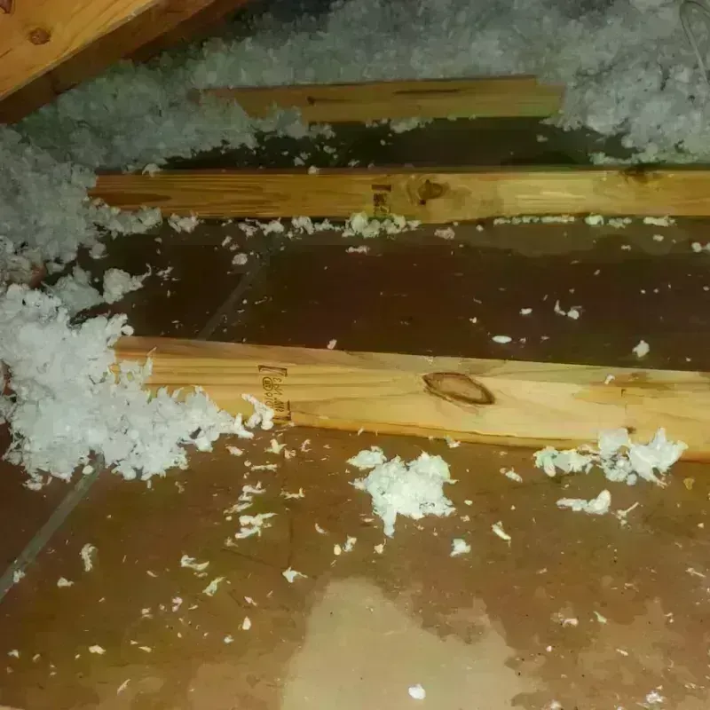 Attic Water Damage in Las Flores, CA