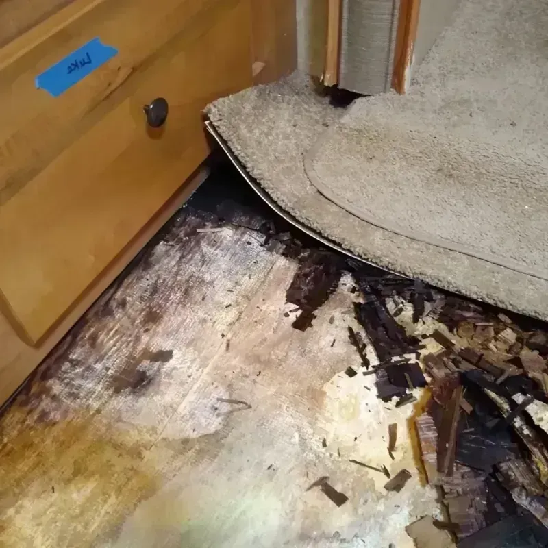 Best Wood Floor Water Damage Service in Las Flores, CA